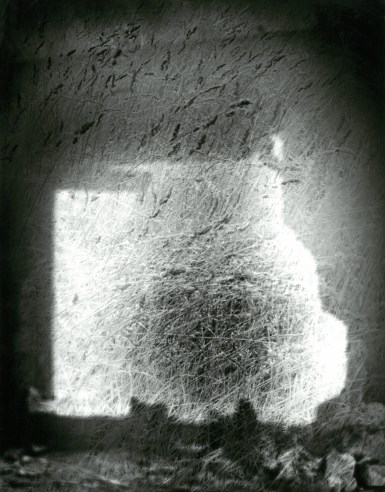 71-warm-grass-wind-r